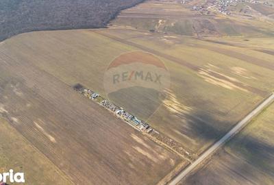 Teren de 13500 mp, în Voinești - 1