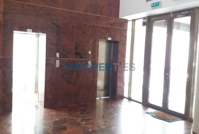 Birou, de 830 mp, în Titulescu - 11