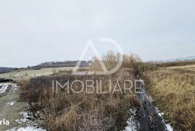 Spațiu comercial, în Turcinești - 2