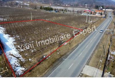 Teren de vanzare in comuna Mu?ate?ti, jude? Arge?. - 8