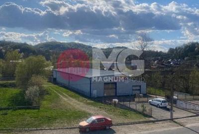 Hala industriala + teren Pausesti Valcea - 1