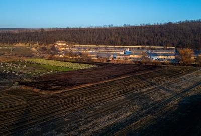Spațiu industrial, de 50,000 mp, în Horgești - 11