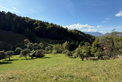 Teren intravilan de 2670 mp, în Bran - 2