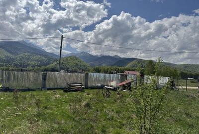 Teren de 4542 mp, în Sâmbăta de Sus - 5