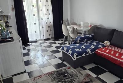 Apartament cu 2 camere semidecomandat în Tudor Vladimirescu - 13