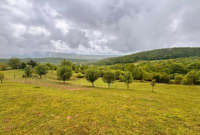 Teren Construcții extravilan de 50000 mp, în Sud-Est - 3