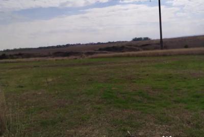 Teren de 800 mp, în Malu Mare - 4