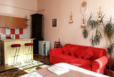 Apartament spatios cu 1 camera zona NTT / Pta Mihai Viteazul / Centru Apartament spatios cu 1 camera zona NTT / Pta Mihai Viteazul / Centru - 6