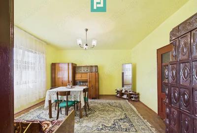 Casa cu teren de 4707 mp in Halmagel, jude?ul Arad - 5