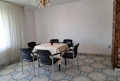 Casa mare cu 2 spatii comerciale, in Faget - 11