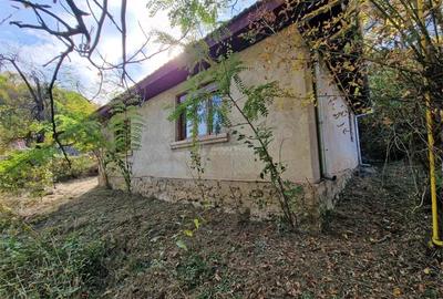 Casă cu Teren 4770 Mp în Central - 3