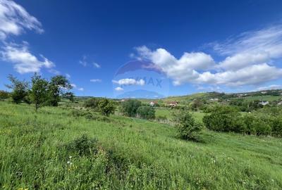 Teren cu PUZ Cluj-Napoca | Casa individuala | Borhanci-Sopor - 3