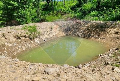 Teren agricol extravilan de 6725 mp, în Hoteni - 5