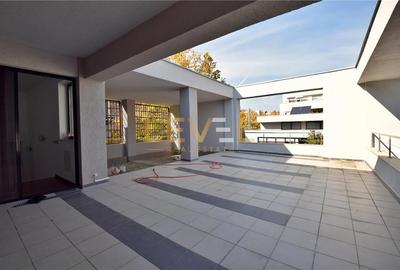 Vila de LUX Soseaua Nordului - Pretabil Resedinta Ambasada Herastrau [PREZENTARE - 28