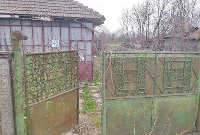 Teren de 3000 mp, în Fierbinți-Târg - 7