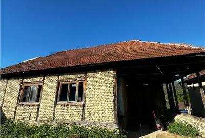Casă cu 2 camere cu Teren 4000 Mp în Budureasa - 7