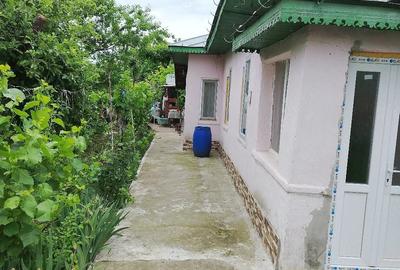 Casă cu 4 camere cu Teren 4000 Mp în Jirlău - 1