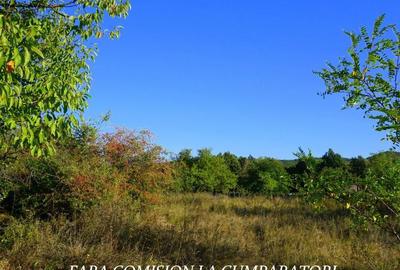 BUDESTI, TEREN 1000 MP, PRIVELISTE MINUNATA - 8