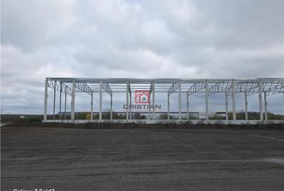 Spațiu comercial, de 5,200 mp, în Mogoșoaia - 4