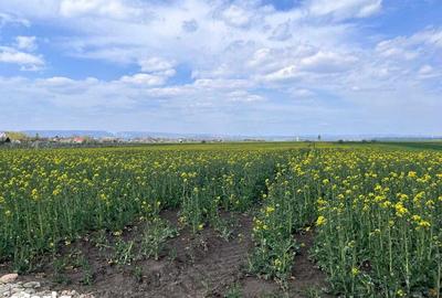 Teren de 3700 mp, în Călărași - 2