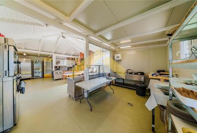 Oportunitate investitie domeniu de agrement si sala de evenimente de vanzare - 20