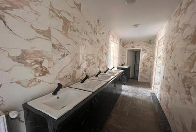 Lugoj, Pensiune 16 Cam., 850 Mp, Renovata Str. Principala - 6