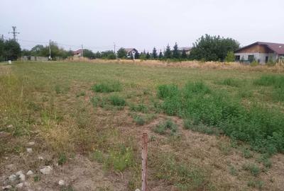 Spațiu comercial, în Țegheș - 3