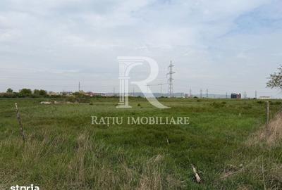 Teren de 15536 mp, în Nufărul - 3