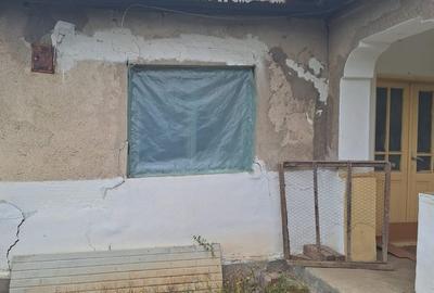 Vand casa teren 3000mp satul Gresia, Rosiorii de Vede, Teleorman - 2