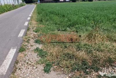 Teren de 9470 mp, în Bolintin-Deal - 10