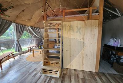 Teren extravilan de 1046 mp, în Valea Borcutului - 7