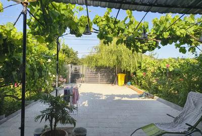 Vand Casa Buzia? - 6