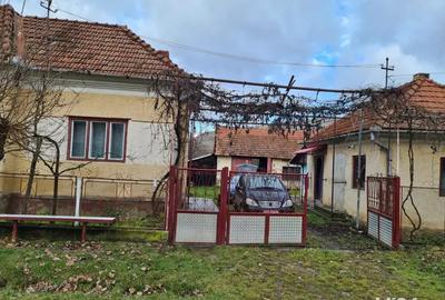 Vand casa - 3
