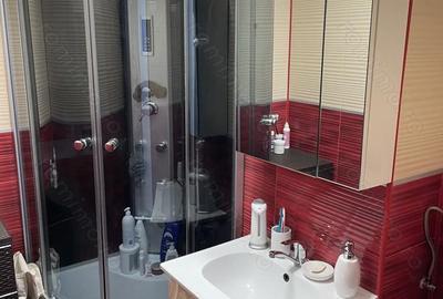 Apartament cu 3 camere semidecomandat în Unirii - 8