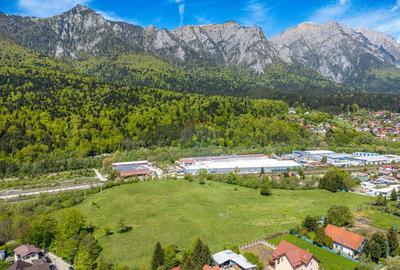 Teren intravilan pentru construc?ii in sta?iunea monta... - 10