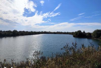 Teren de 63700 mp, în Borș - 16