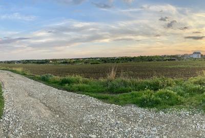 Teren vis a vis Laguna Albastra, Corbeanca - 9