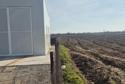 Spațiu comercial, de 100 mp, în Căciulați - 5