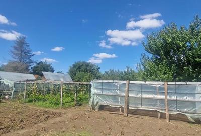 Casă cu 3 camere cu Teren 2100 Mp în Livedea - 4