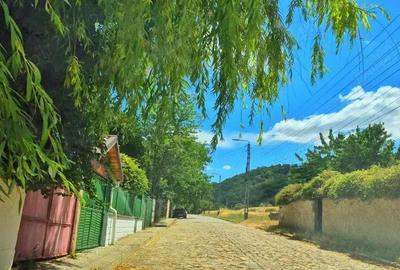 Casă cu 6 camere cu Teren 2000 Mp în Babadag - 2