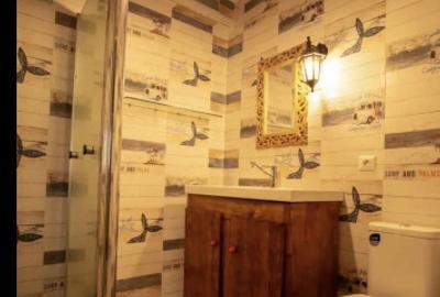 Brancoveanu dumbraveni vila studio dubla - 2