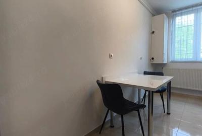 Apartament cu 2 camere decomandat în Cetate - 5