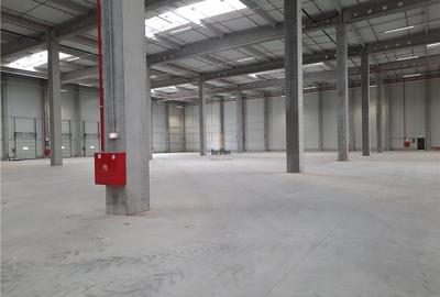 Spatiu Industrial - 4500 mp - Logistica - Productie - Depozitare - Distributie - 10