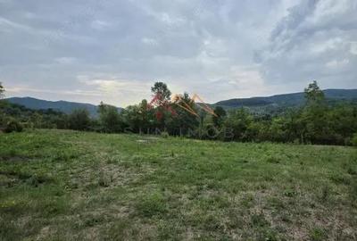 Teren Intravilan, utilitati in zona, 2600 mp, Draganeasa, Prahova - 5