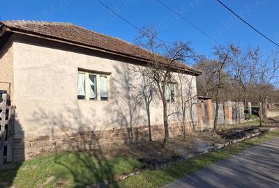 Casă cu 3 camere cu Teren 1400 Mp în Vintere - 7