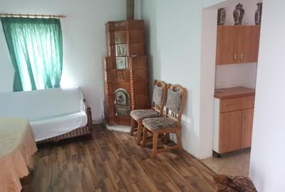 Casa batraneasca Aninoasa/ Arges, teren 1.200 mp - 12