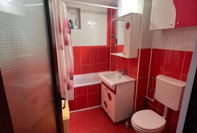 Apartament cu 2 camere decomandat în Baziaș - 7