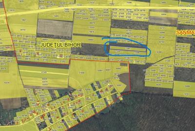 Spațiu comercial, în Cihei - 3