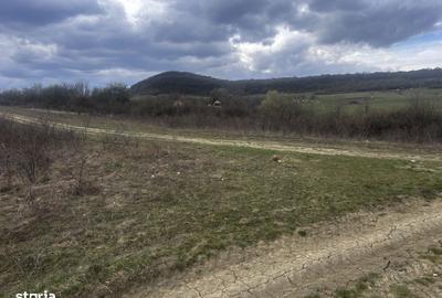 Spațiu comercial, în Sigmir - 2