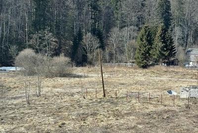 Credit Imobiliare va ofera spre vanzare o vila aplasata in Zona Valea Rasnoavei - 6